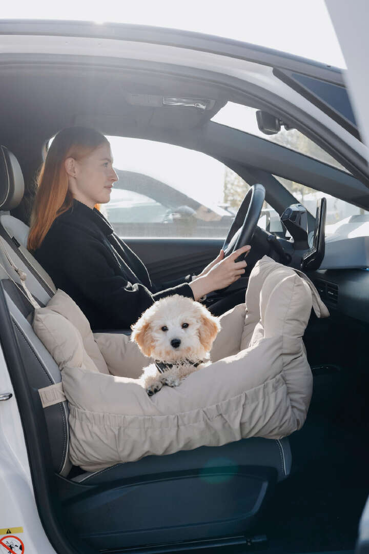 HUNTER Autositz Seoul für Hunde